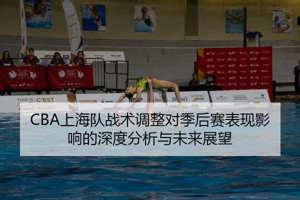 CBA上海队战术调整对季后赛表现影响的深度分析与未来展望