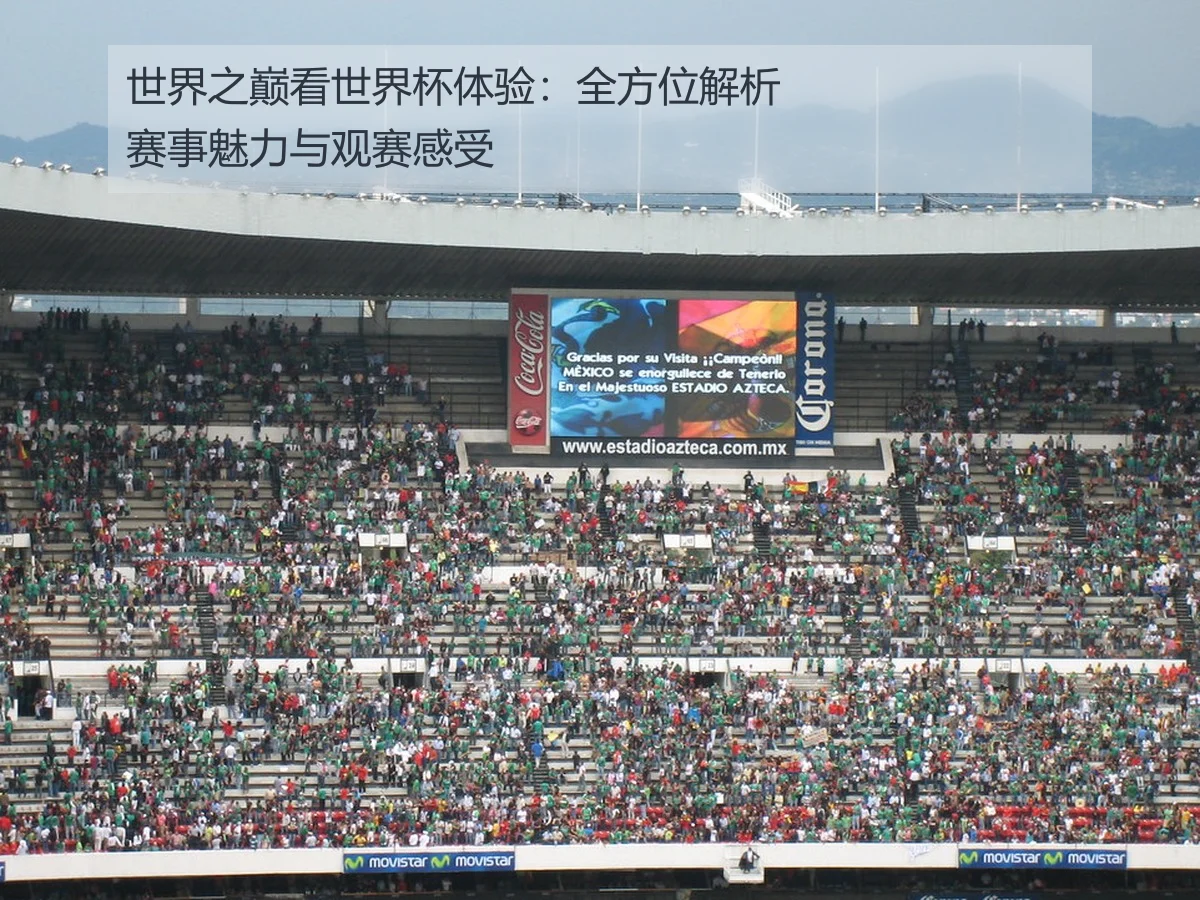 世界之巅看世界杯体验:全方位解析赛事魅力与观赛感受